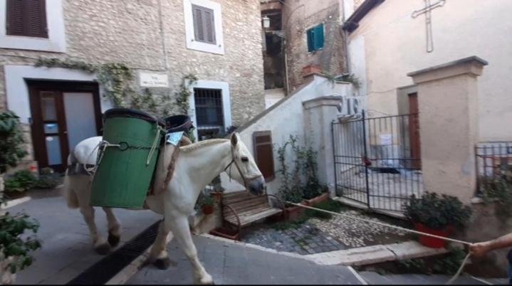 Olevano Romano Casetta Nel Borgo מראה חיצוני תמונה