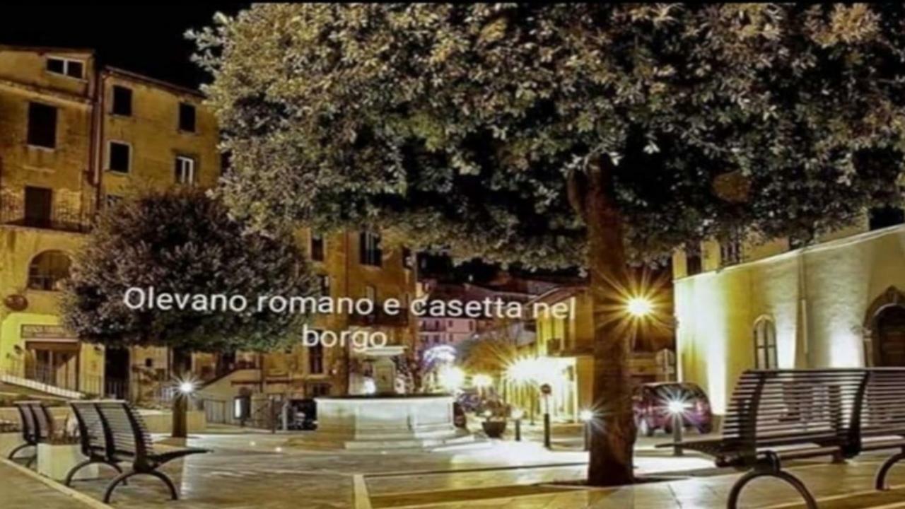 Olevano Romano Casetta Nel Borgo מראה חיצוני תמונה